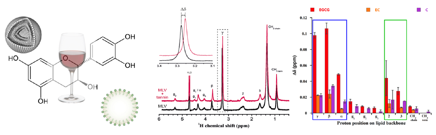 tannin_loquetlab_fig1